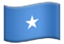Picture of the Somali Flag